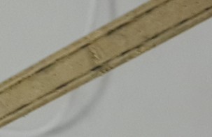 ��innzlc �л� 1000����