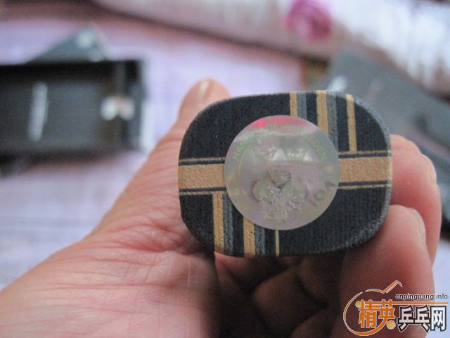 ���ѳ�ŷ��õ��7 �л� STIGA EG  ����