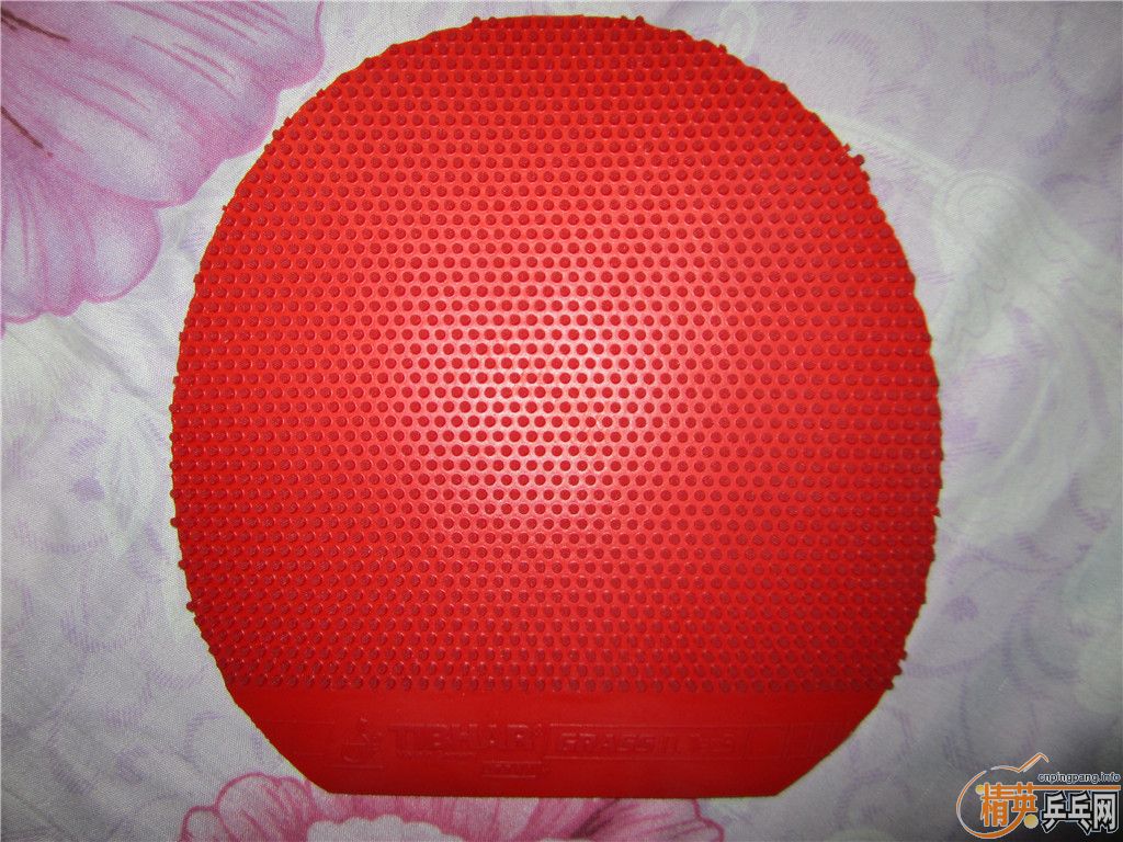 ������һ�ε� ���7.6SENSE�����桿ŷ����4 ������� tsp p1-r  ͦ�β����ܳ�������Ż�