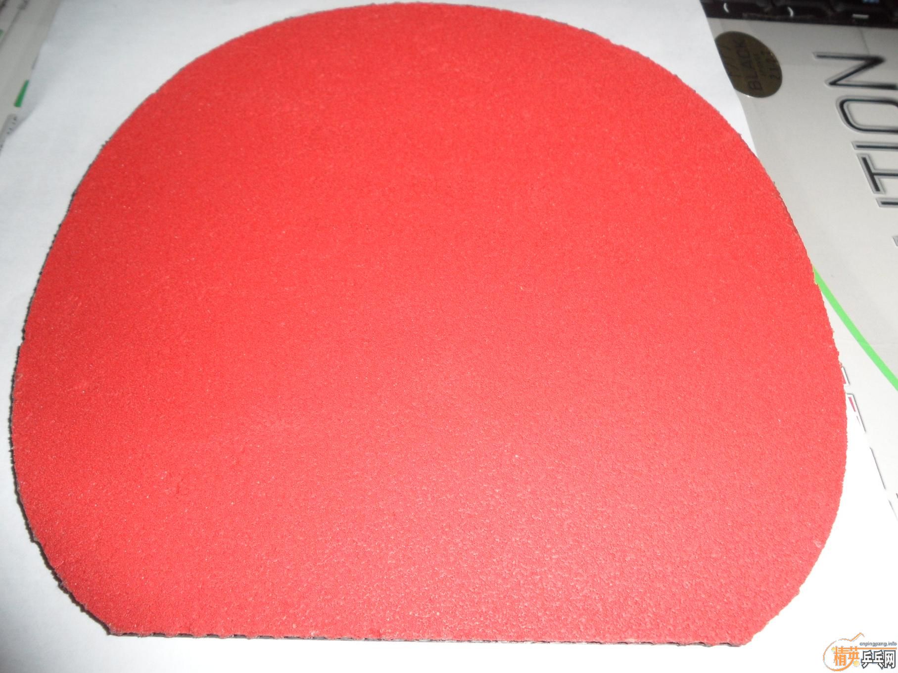 ��EL-P��ɫ�������