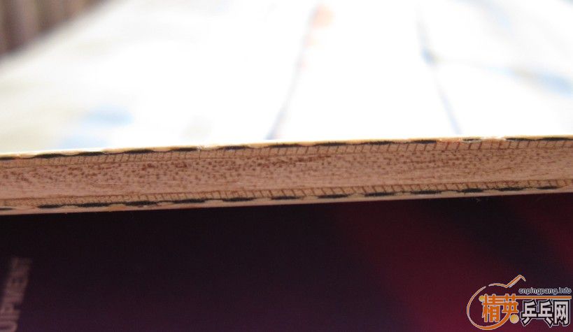 ��ϸ�����ɭ̼��