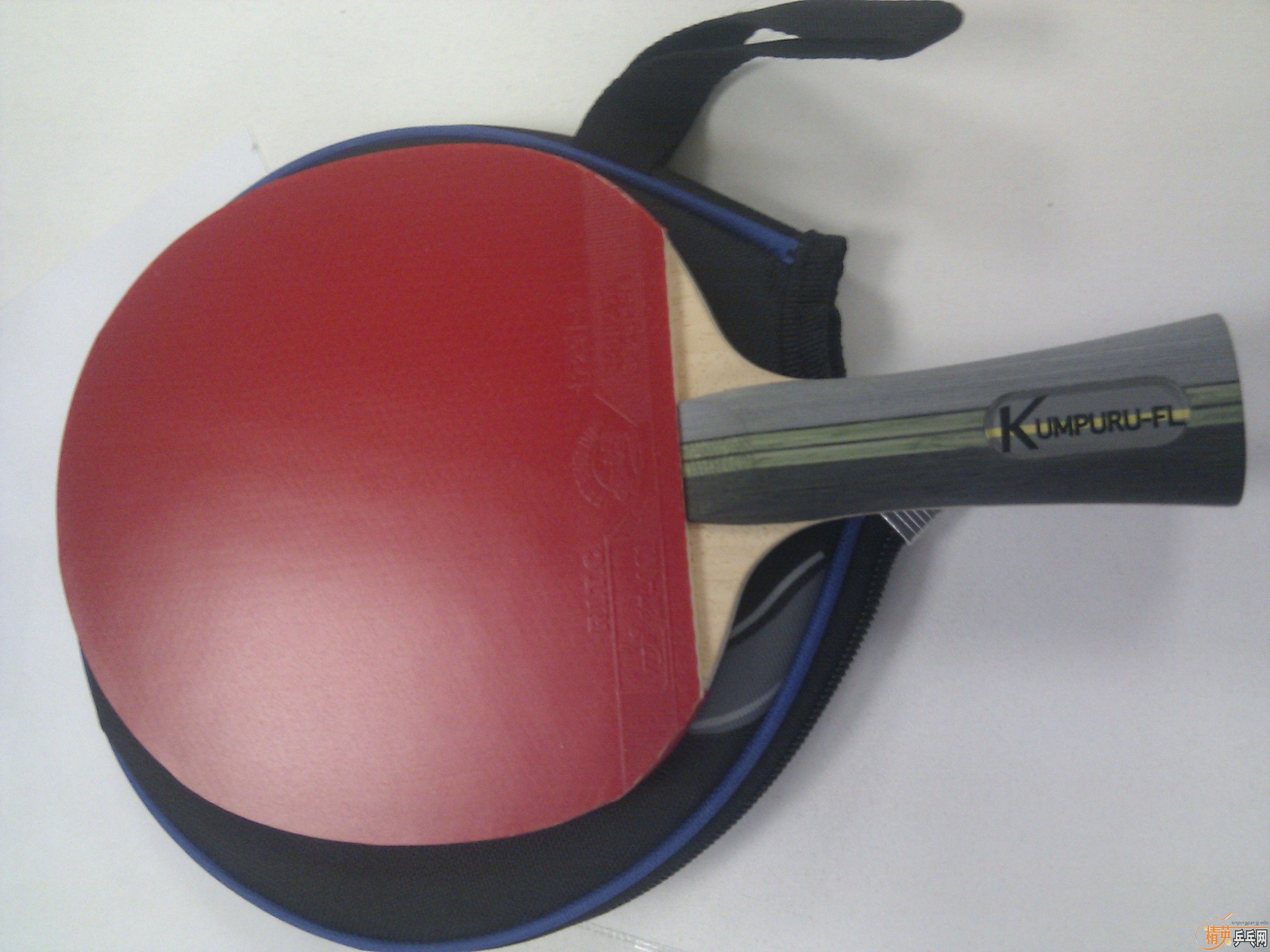 ����ȫ�º���������