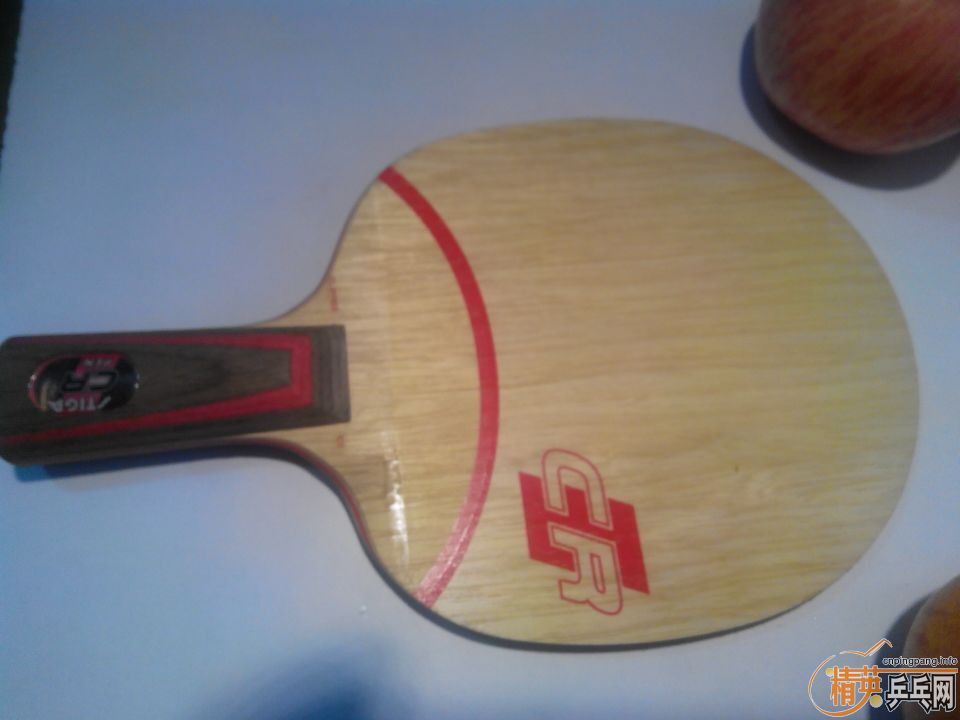 õ��5��CLCR�����ӡ�����