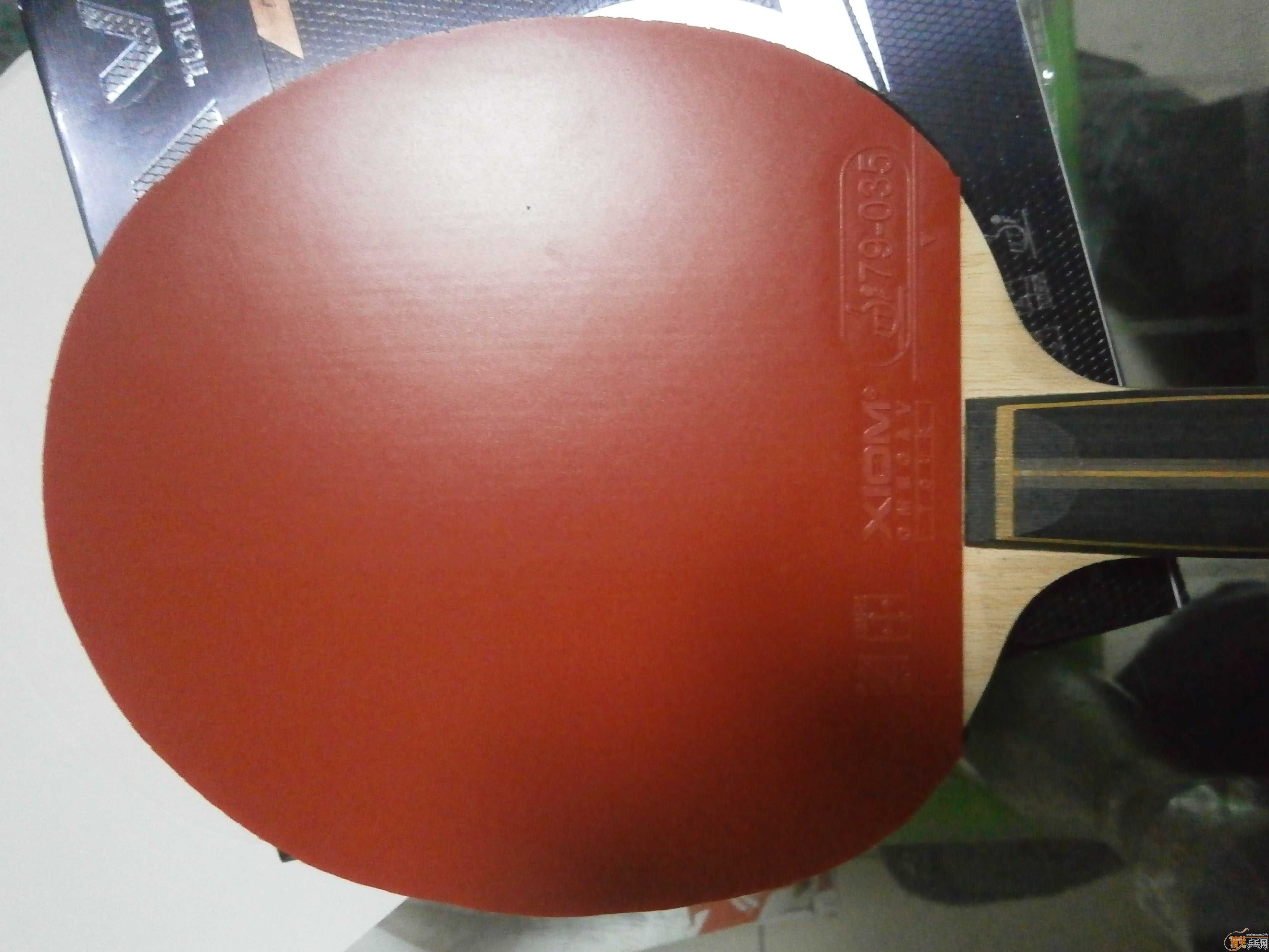 ��5 ��5����רҵ��