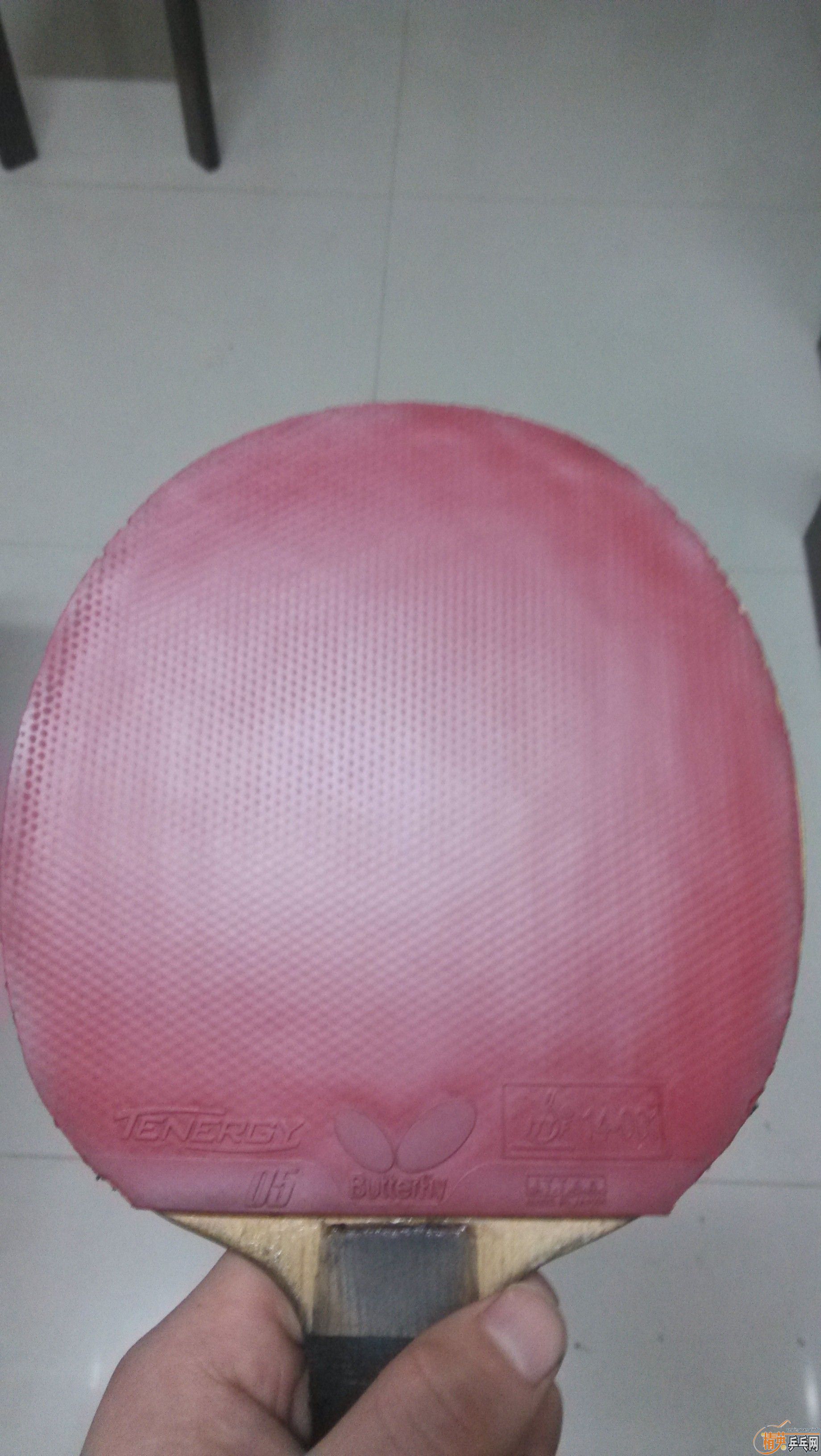 ��GIFT���Ҷ�����T05������Ʒt05��1.9��t05��250��