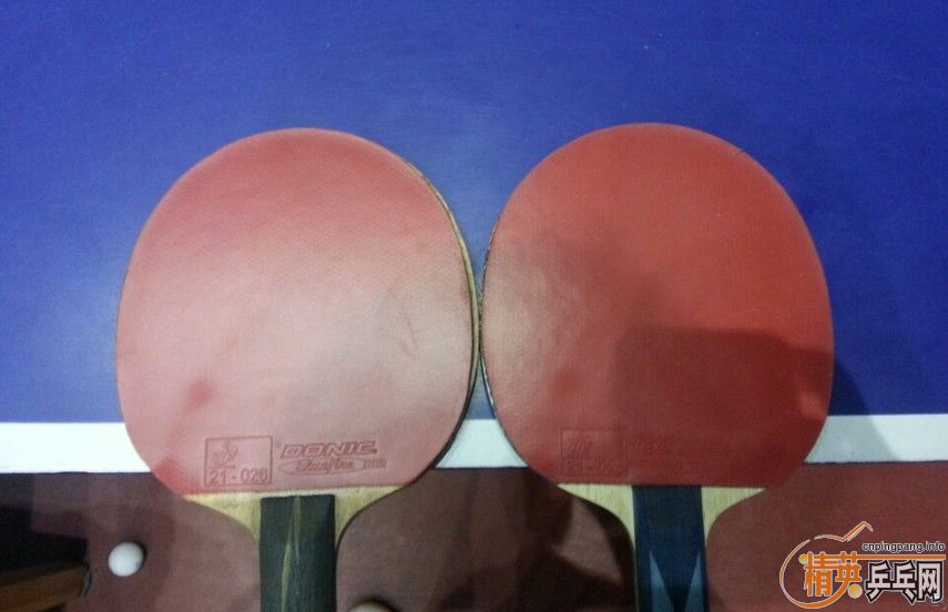 ���Ŷ��������m2����ɫ��С���档��Ҫ�ݹ���������������档