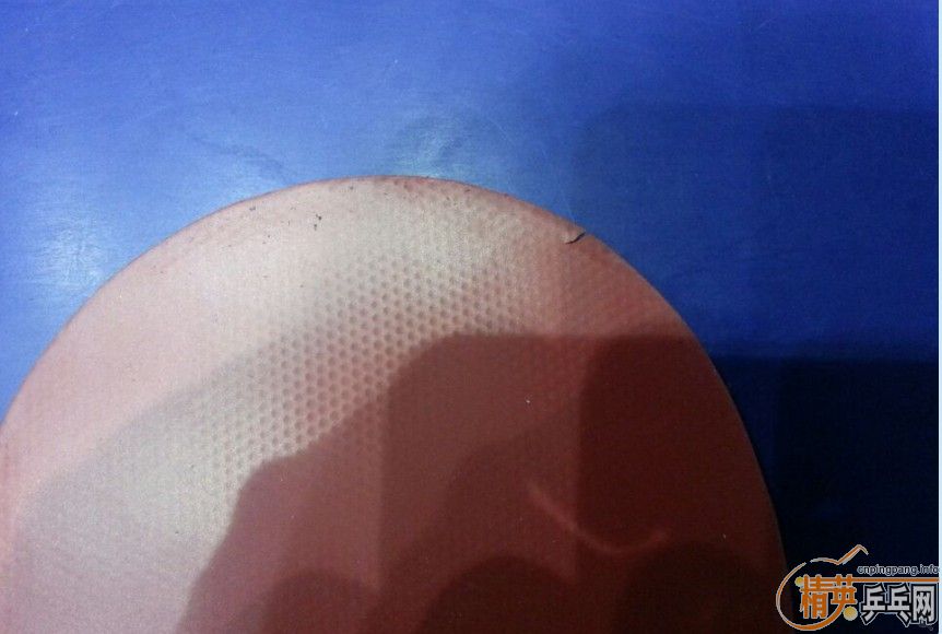 ���Ŷ��������m2����ɫ��С���档��Ҫ�ݹ���������������档