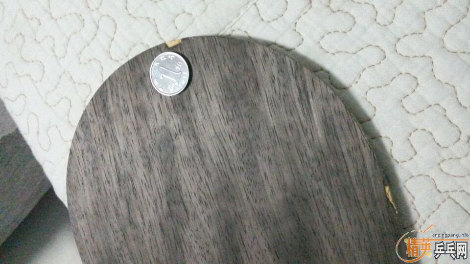 Stiga OC WRB + һŵ240