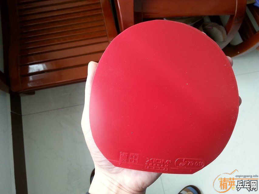 �����������ճ��׽���