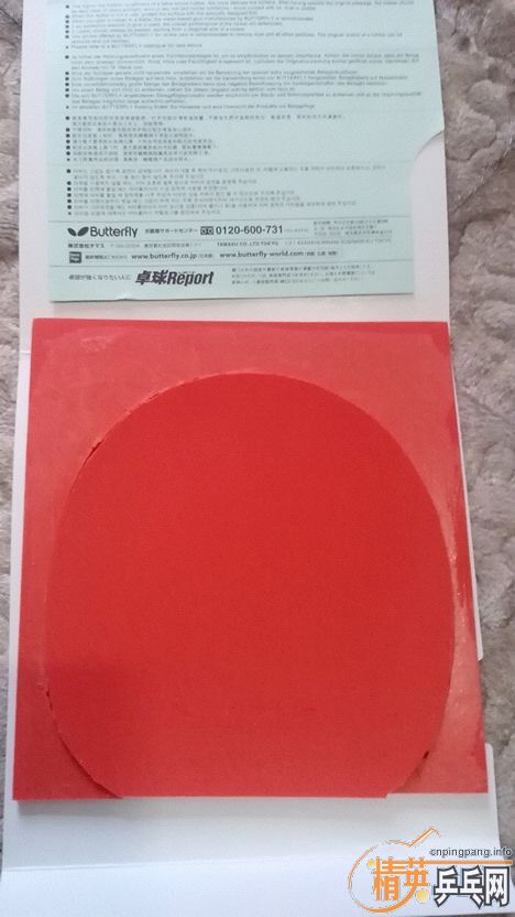 SENESE���   300����