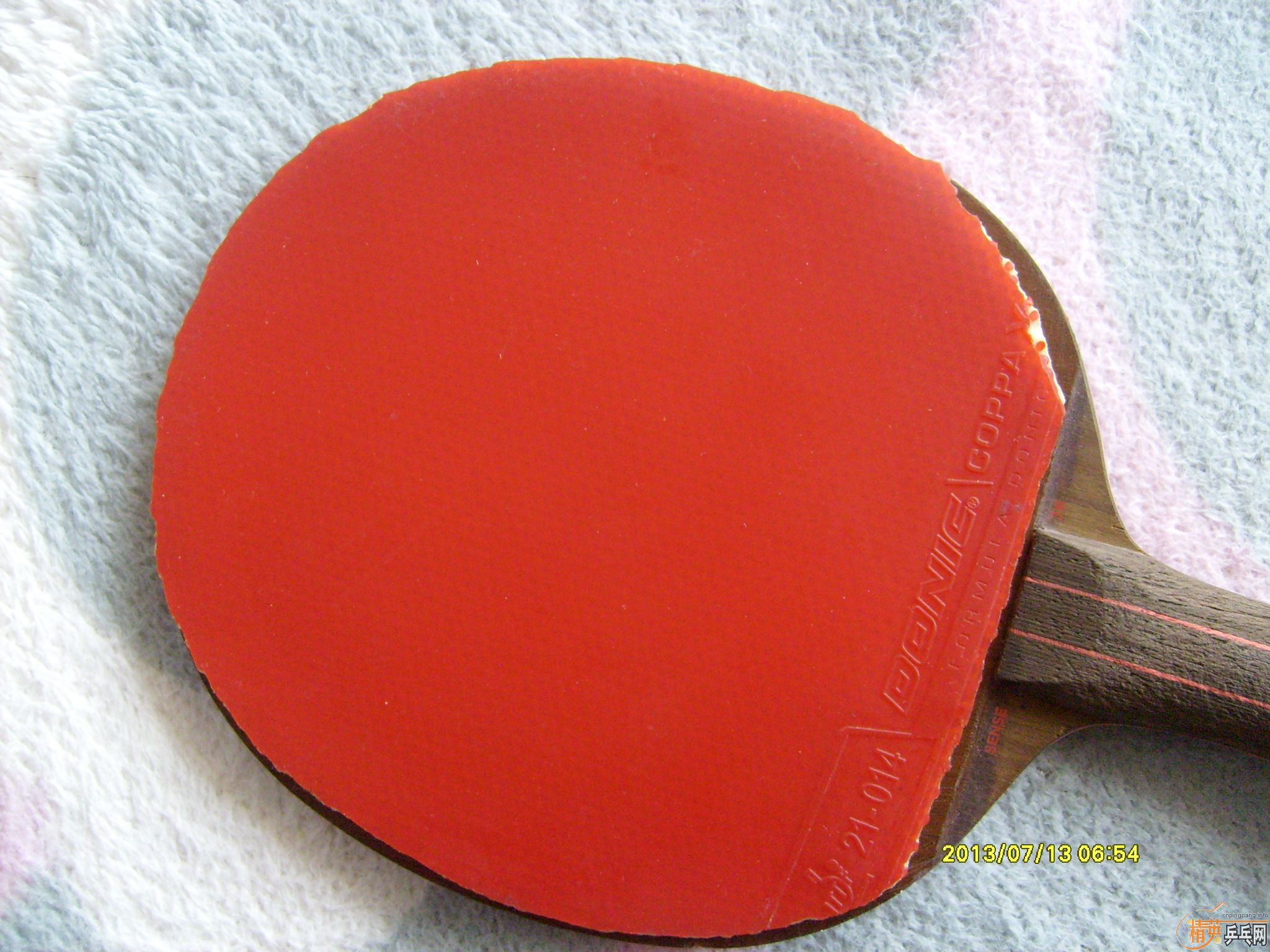 SENESE���   300����