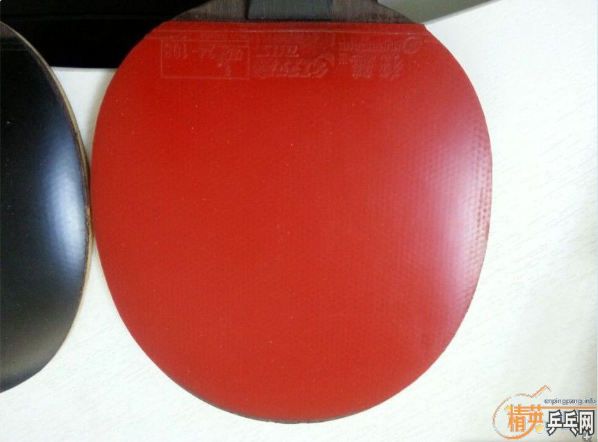 ���������                      ʡ��