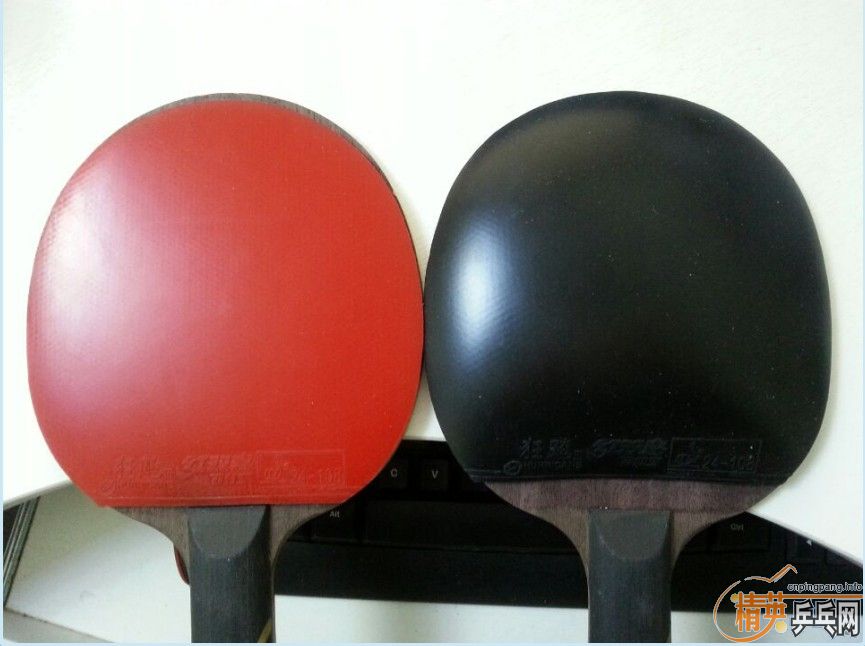 ���������                      ʡ��