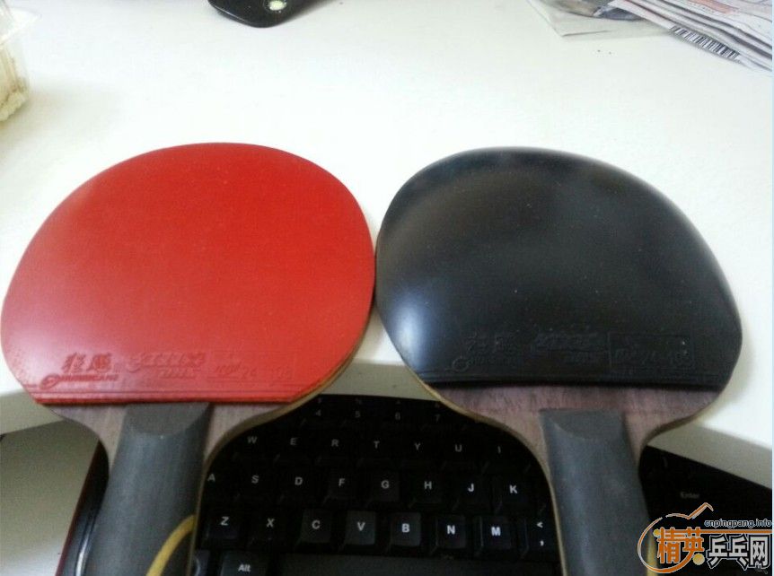 ���������                      ʡ��