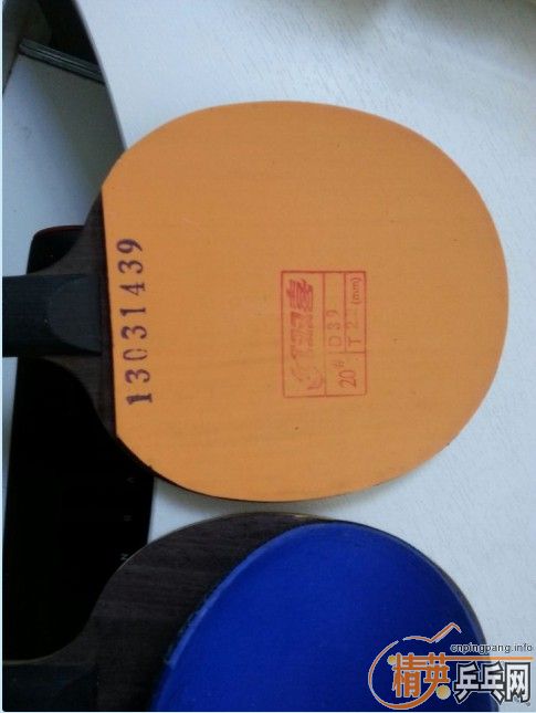 ���������                      ʡ��