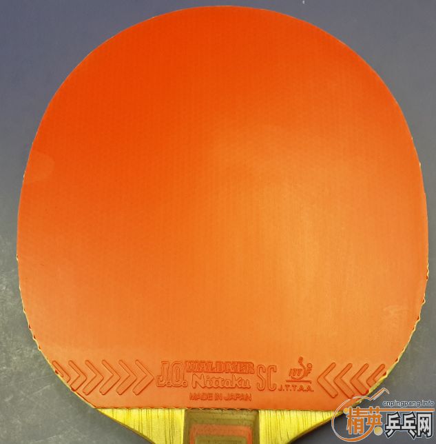 ���л������л����FX����