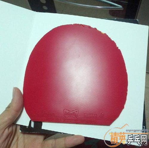 [ԭ��]�ͼ۳�һ�ѽ�Ƥ