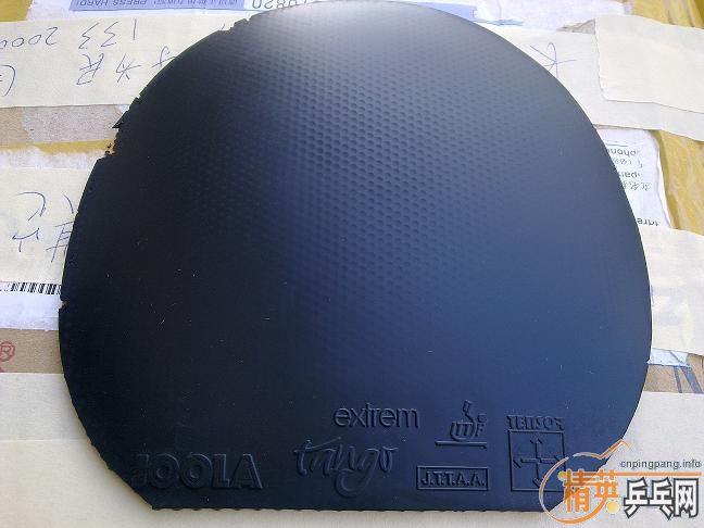 ��������ɫJOOLA̽�꣬85���ʡ�