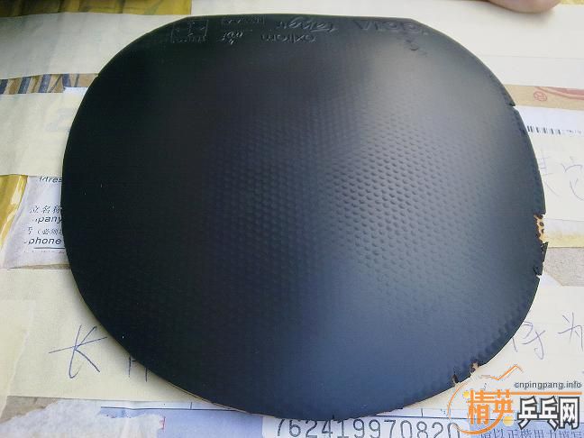 ��������ɫJOOLA̽�꣬85���ʡ�