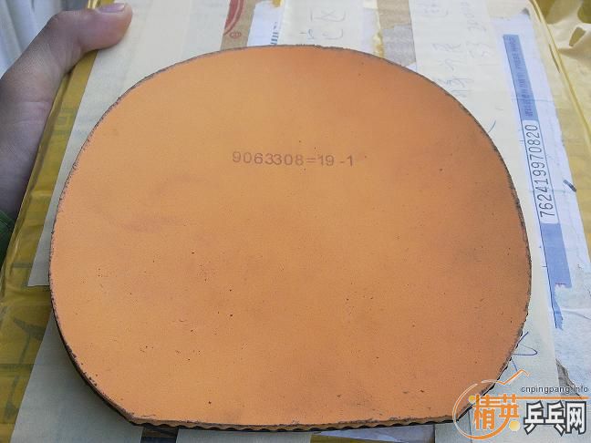 ��������ɫJOOLA̽�꣬85���ʡ�