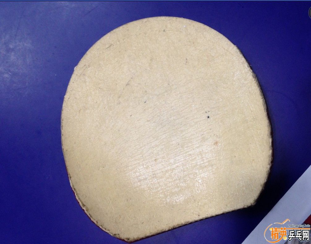 ����� �罺�����һ����62���ʡ�