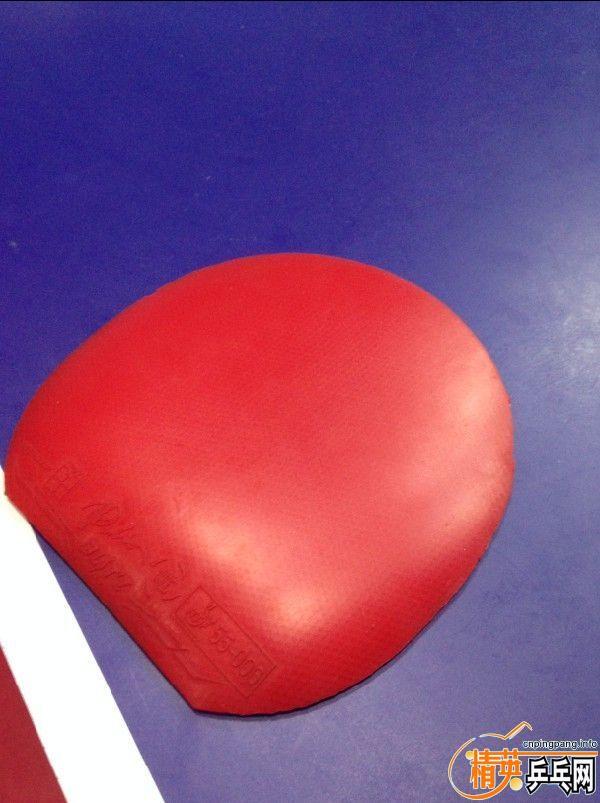 ����� �罺�����һ����62���ʡ�