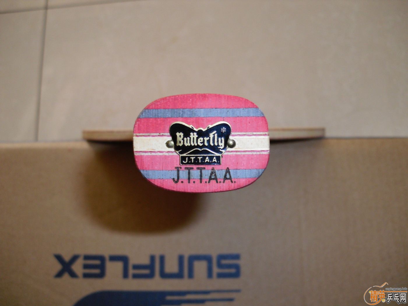 ��ɫ�ò�����������