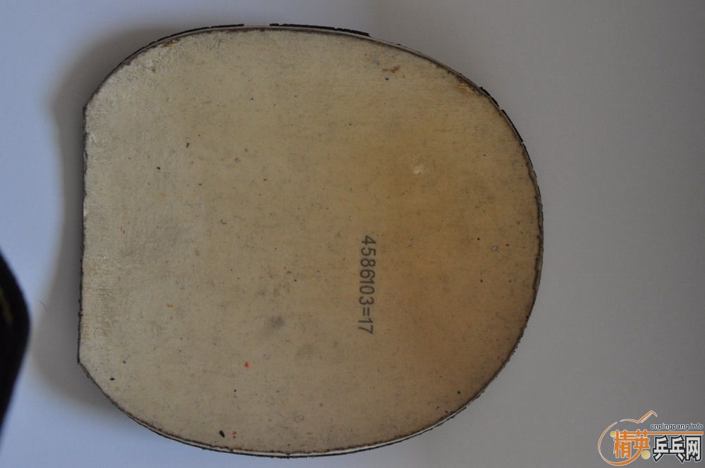 ʡ��--ŷ����4--ŷ����2--�տ�3--joola energy--sriver fx--����M1--DONIC F2--����JO