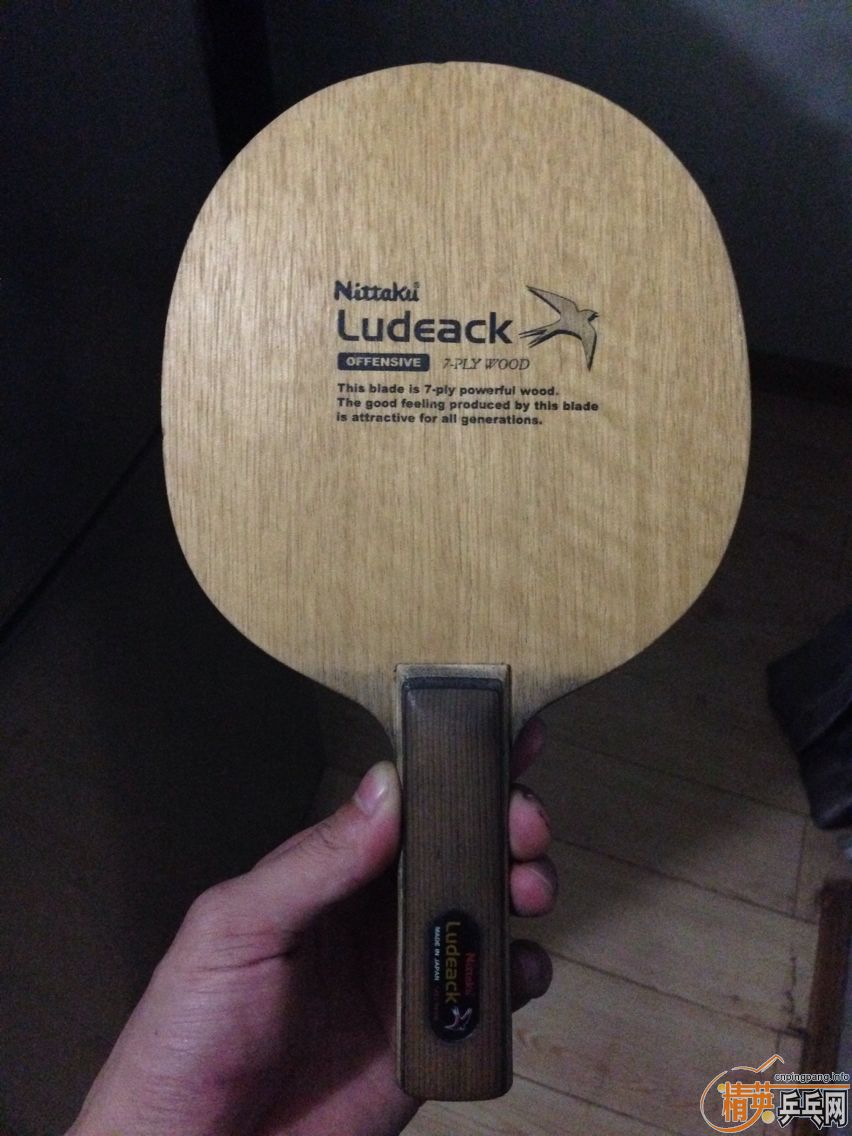 ����̤��Բ��С��~��ɫ�Լ������ɻ����̼��7.6