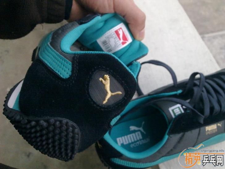 ������PUMA��PONY����Ь�����£�