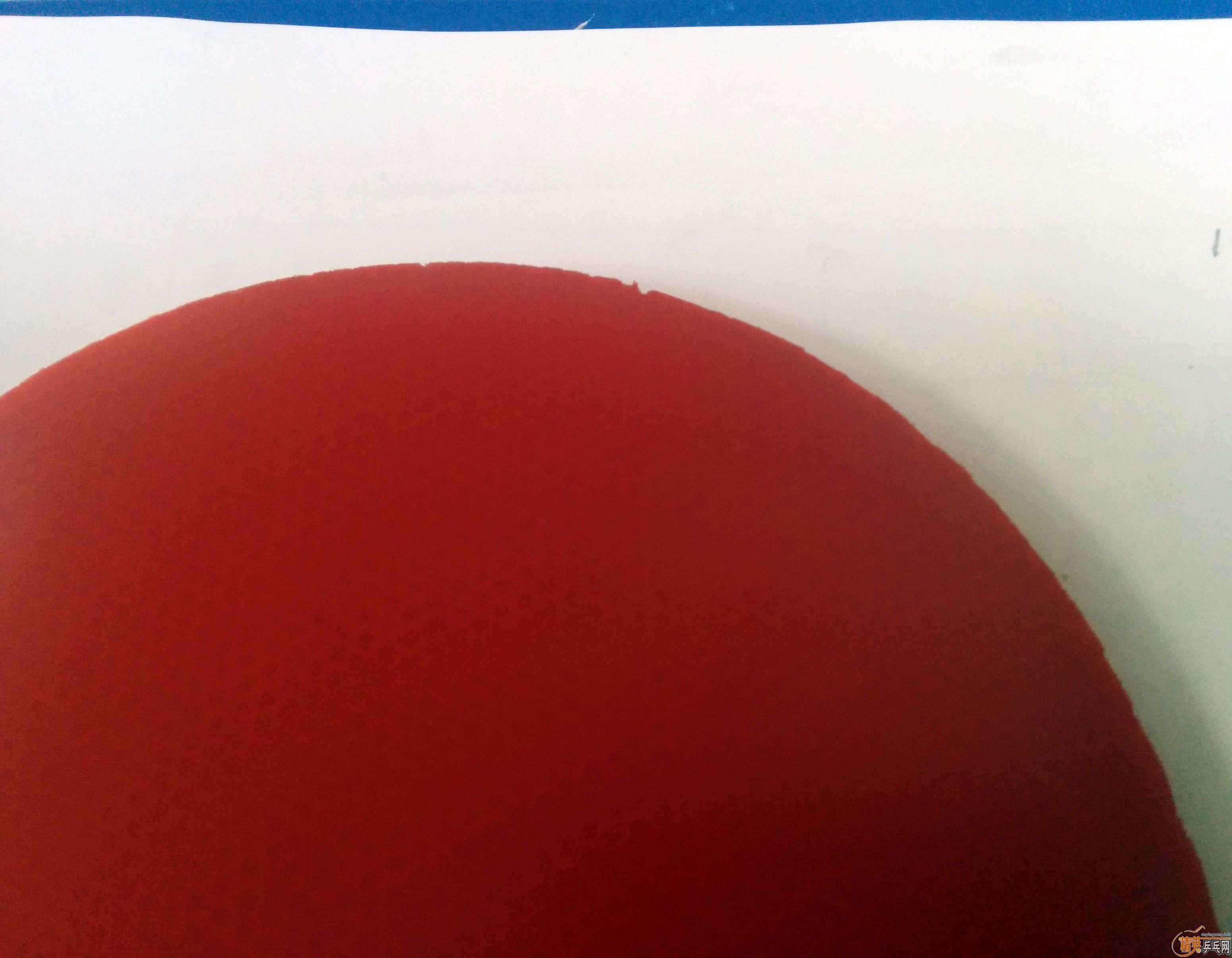 �ͼ۳�2���������׽�-----G1(��)-�׸������죩