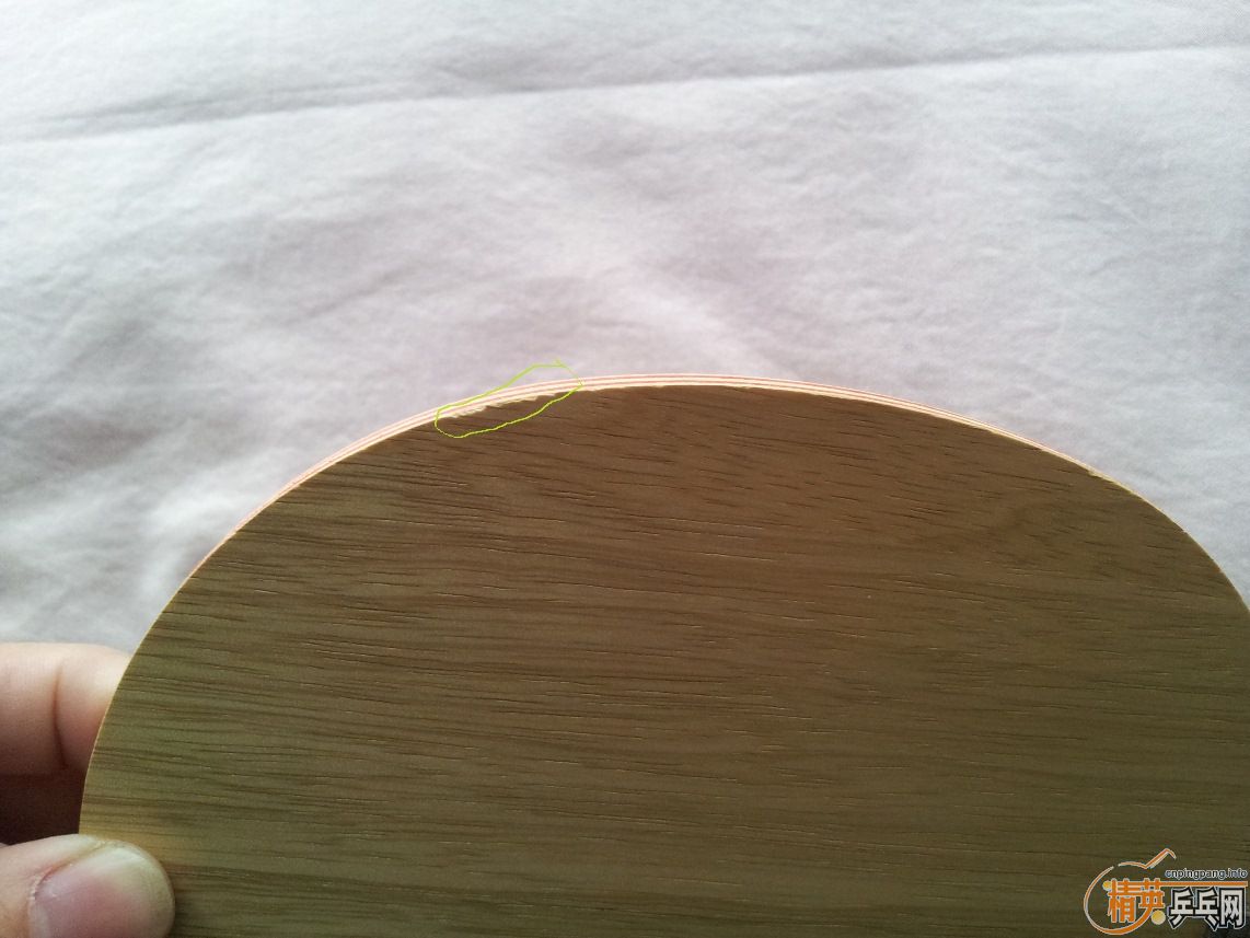 ++++++STIGA˹�ٿ�ŷ��CL CC�װ�++++++