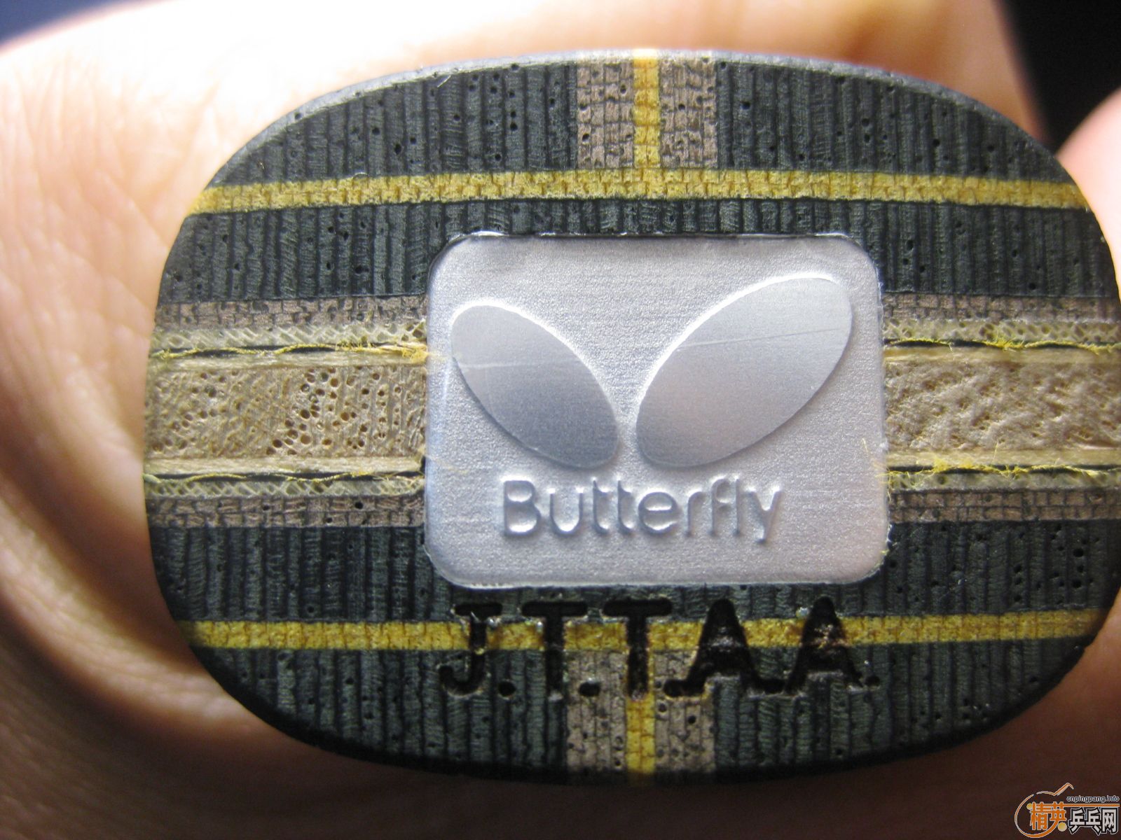 [�Ƽ�]  �����а�  ϵ��֮�����ż̿�fl,1688