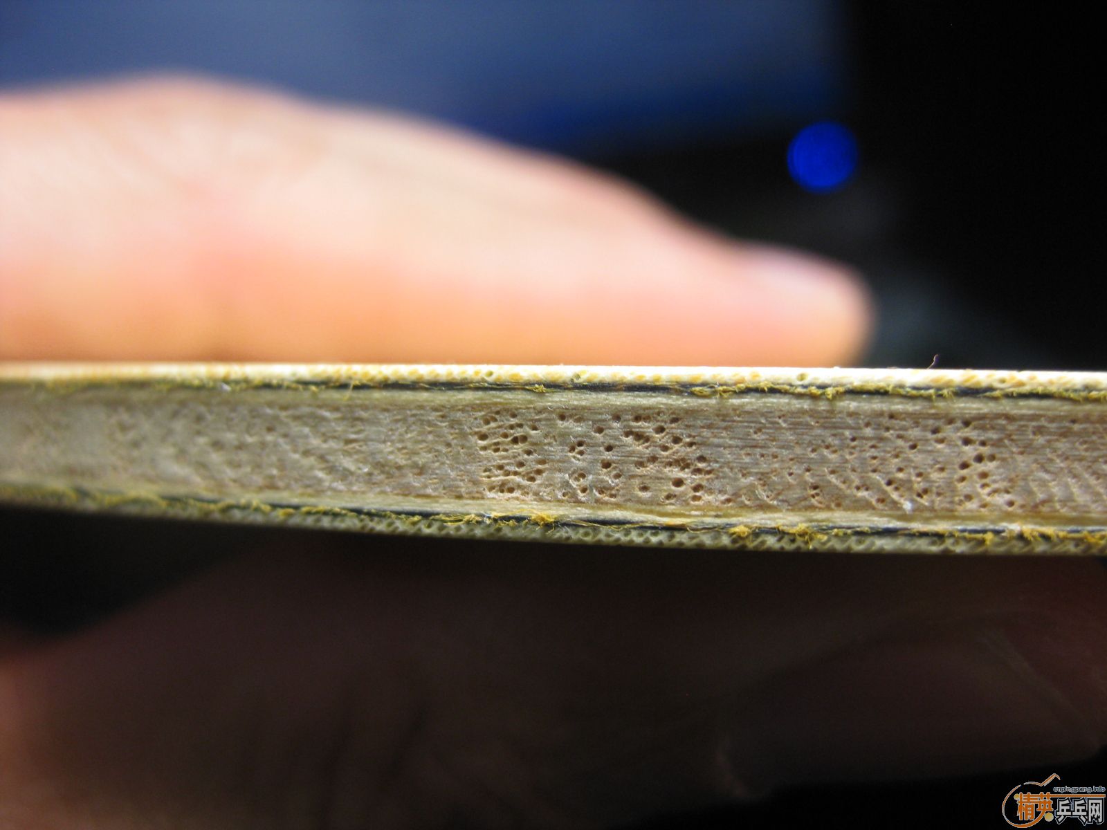 [�Ƽ�]  �����а�  ϵ��֮�����ż̿�fl,1688