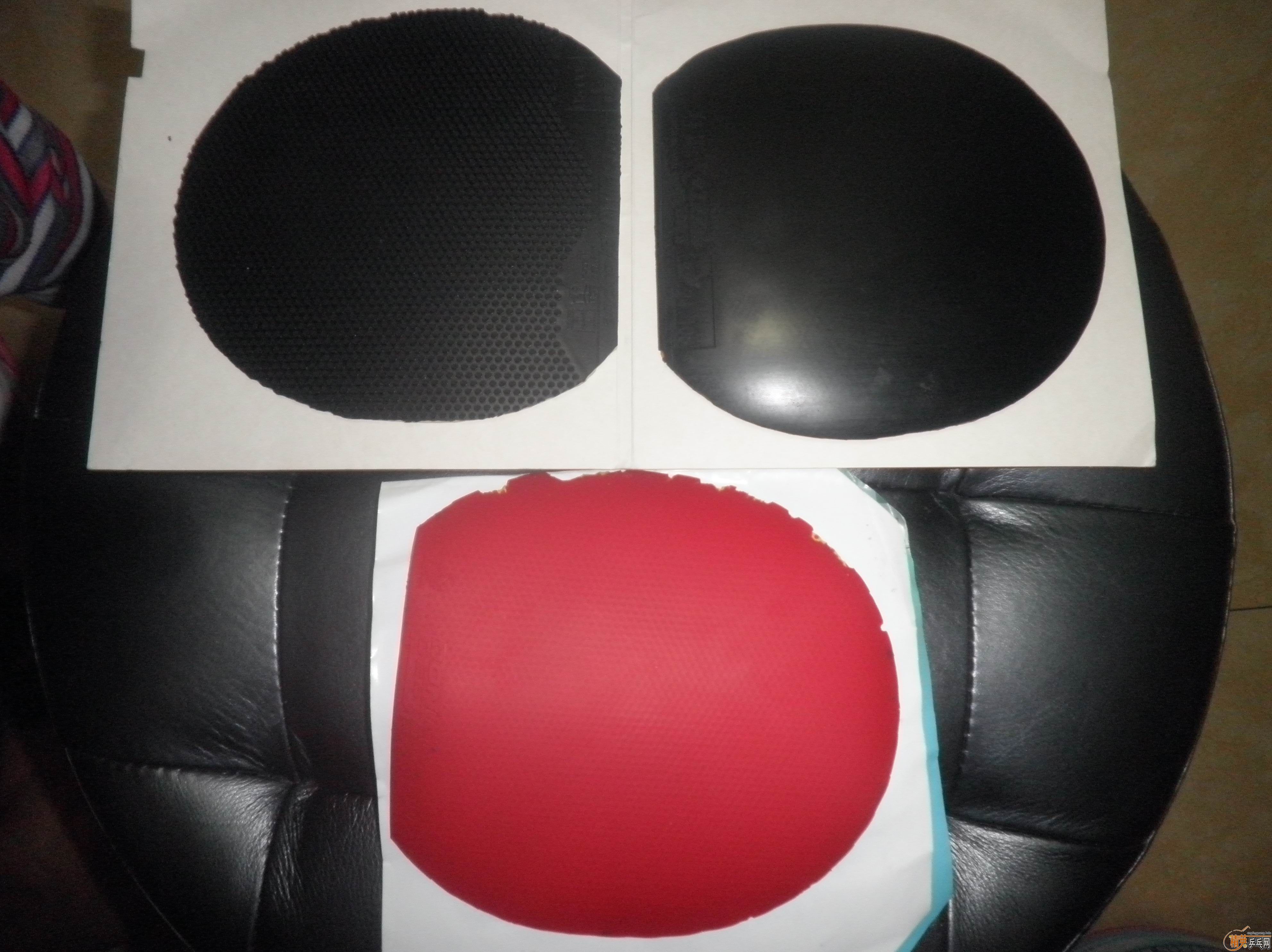 �����ۡ�NEOʡ���� ����BLOWFISH���� �����F2