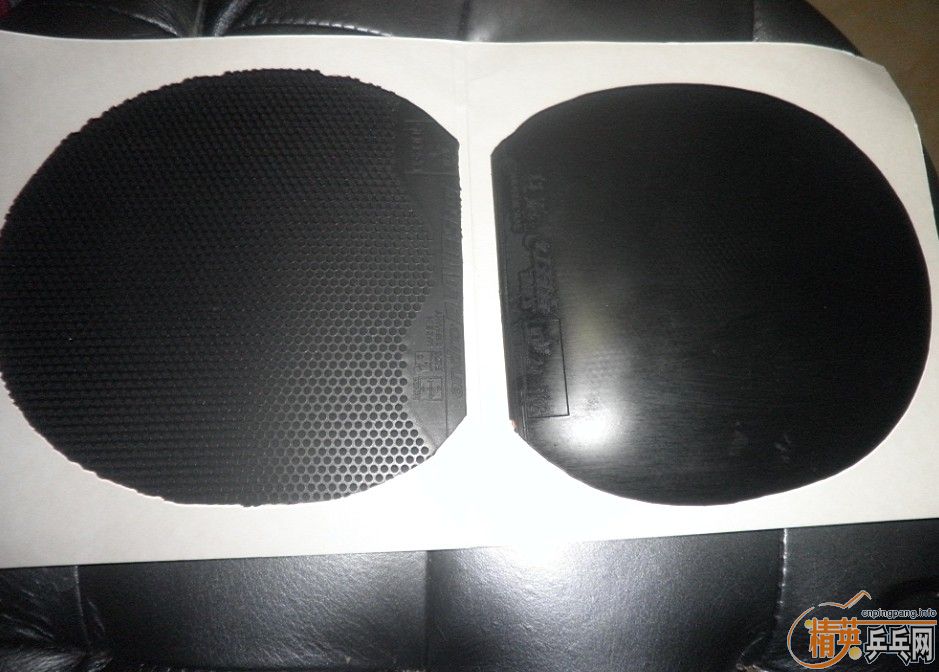 �����ۡ�NEOʡ���� ����BLOWFISH���� �����F2