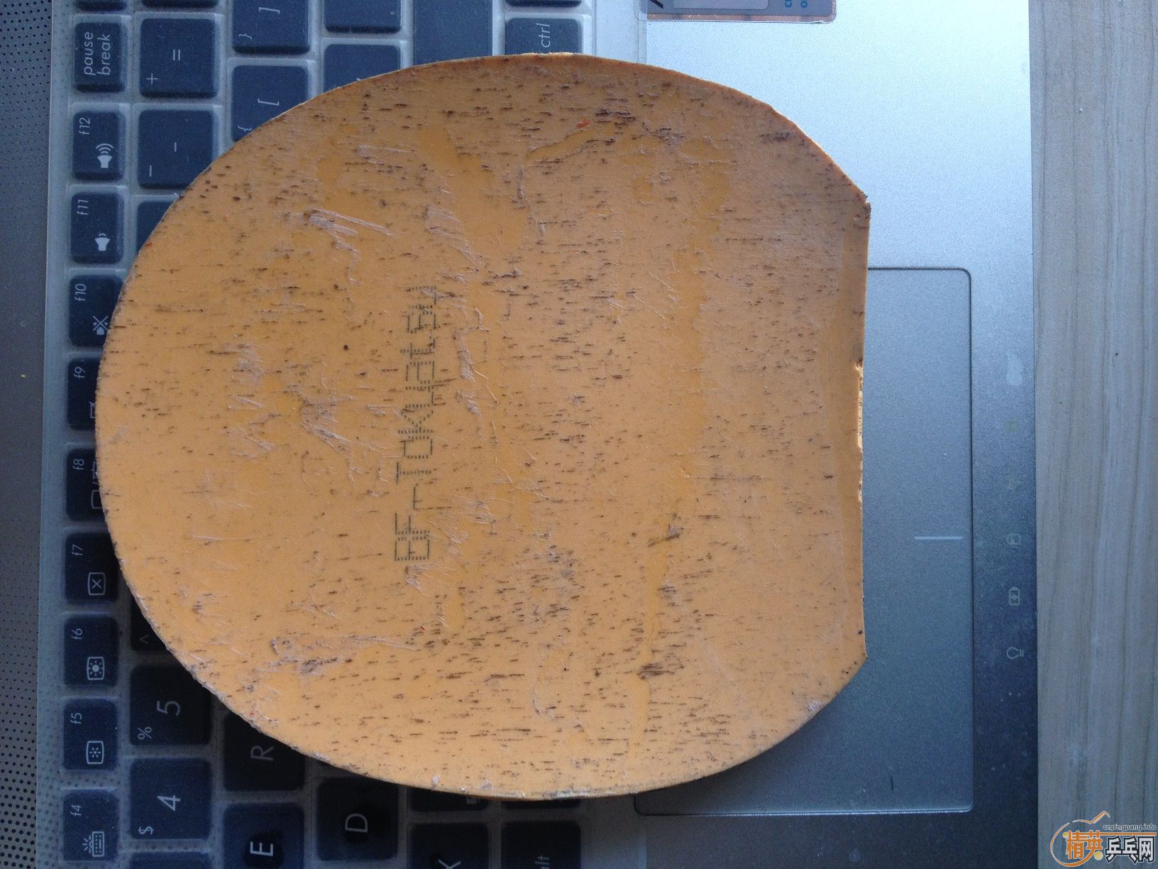 �س�EL�����Ÿ����ˣ�110��˳��Ҫ��QQ,�˳���