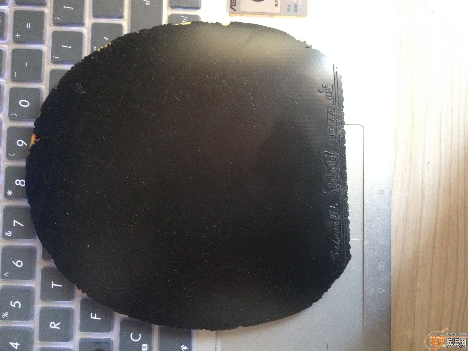 �س�EL�����Ÿ����ˣ�110��˳��Ҫ��QQ,�˳���