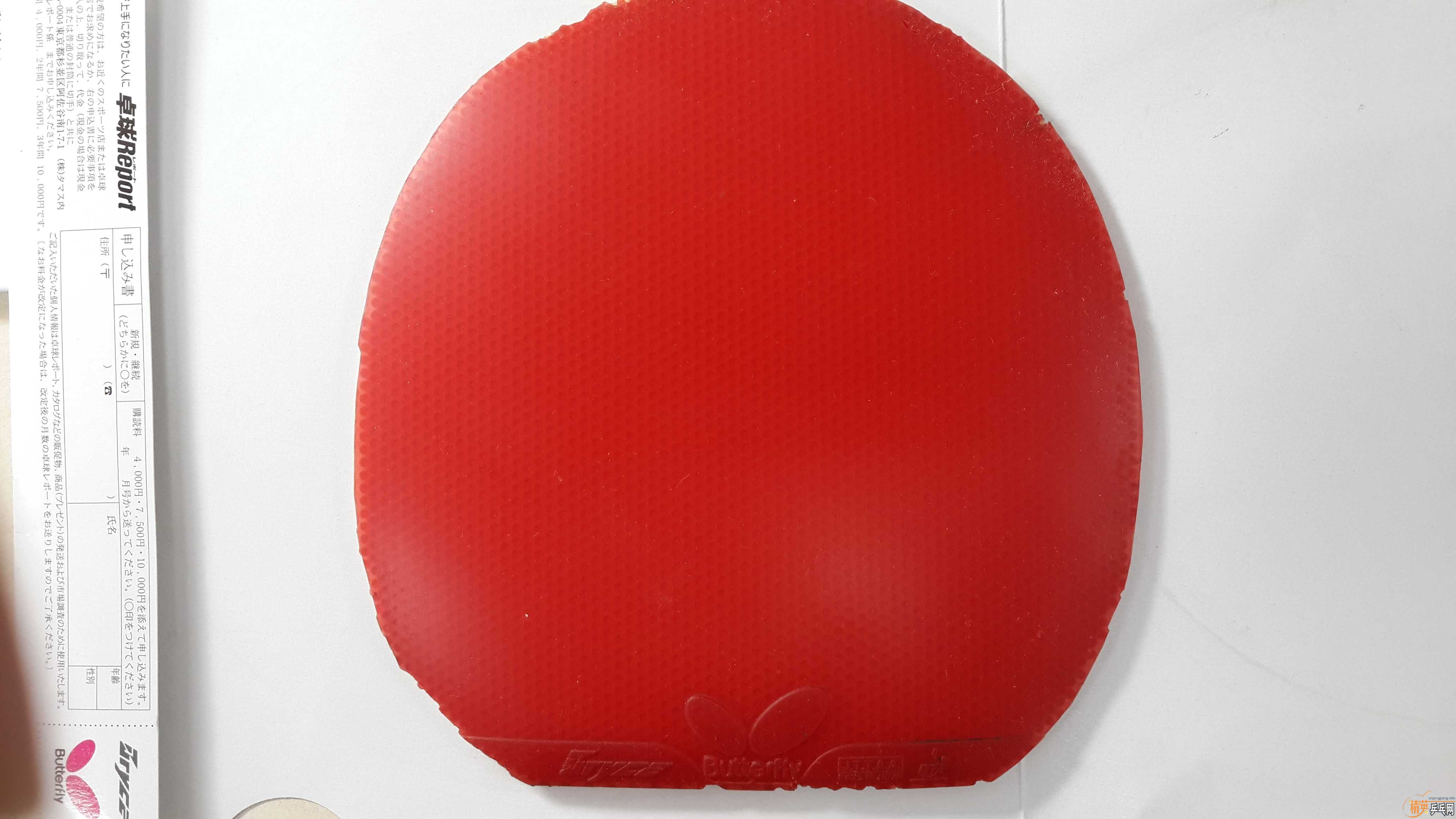 ��ɫ���һ�ţ�100����