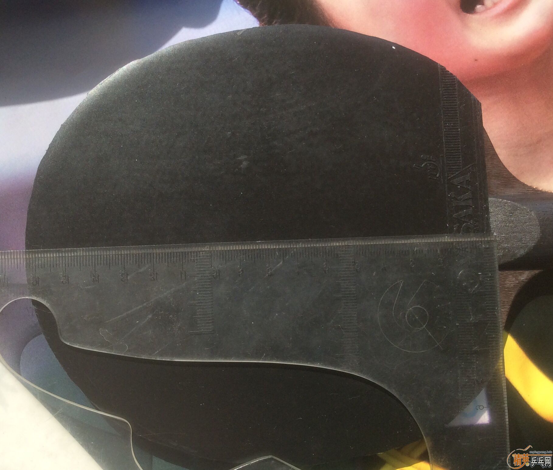 �����������39�ȣ�40�ȣ�������ZAP���������40��