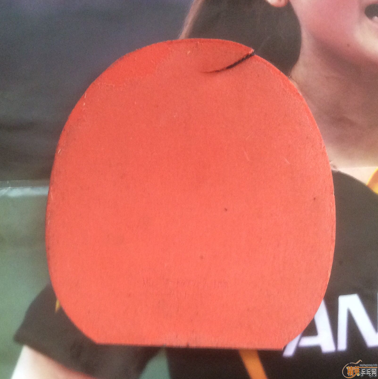 ��T64-fx��T05