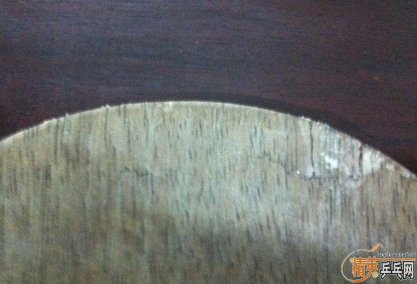 ϲ��OC�Ľ�����������֧oc~~~~