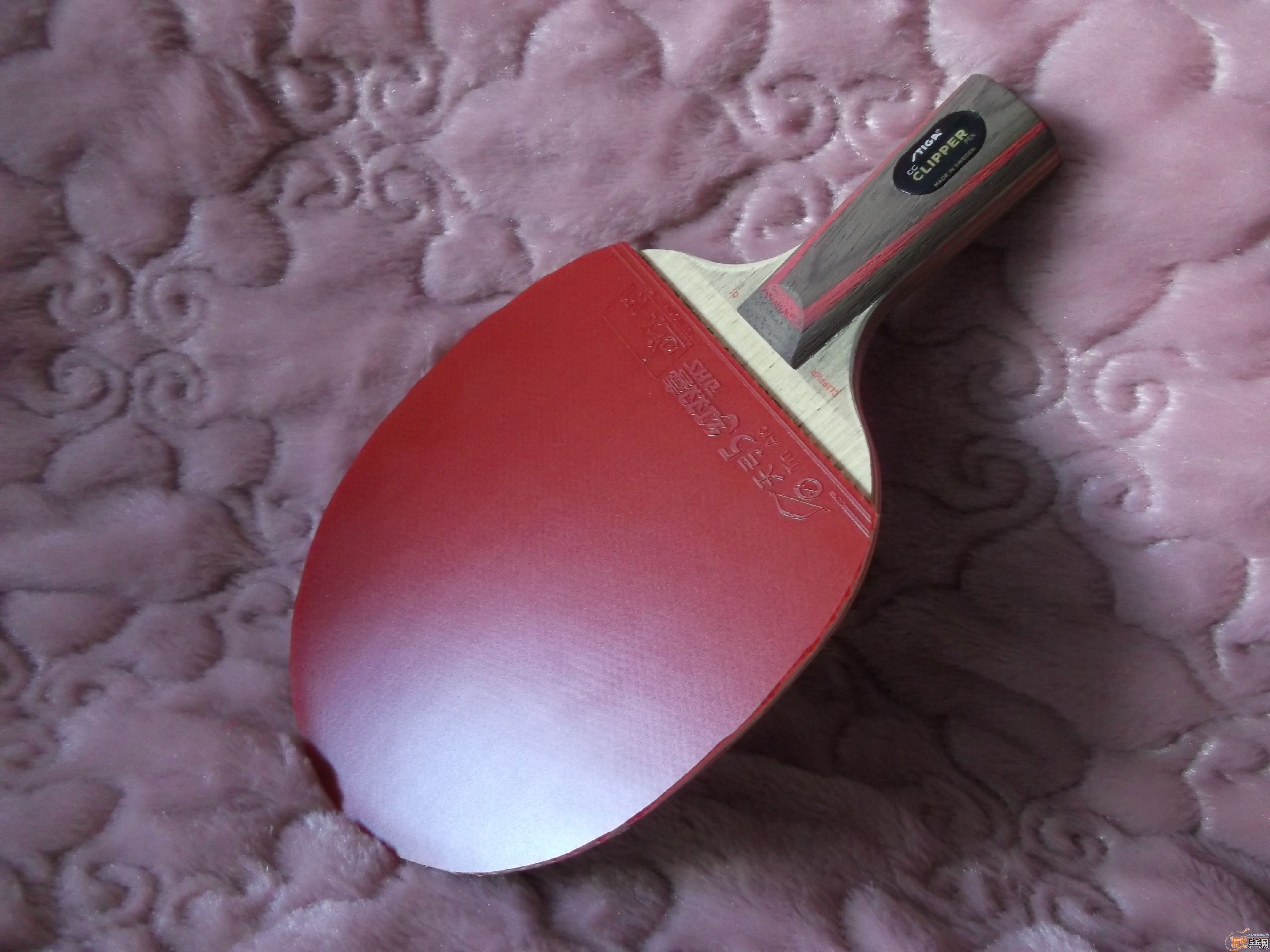 칬 ˭칭Աȸߡ칭5
