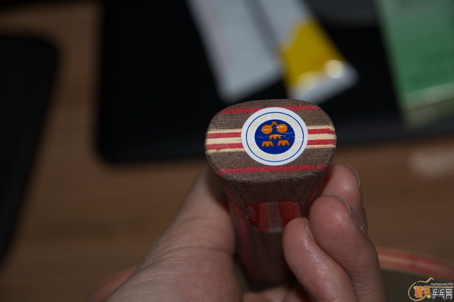 [����]stiga���壬��̴5��VPS V��CL