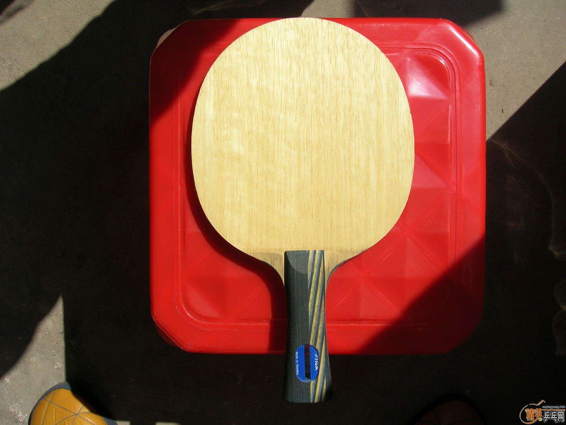 ����EG 235��������