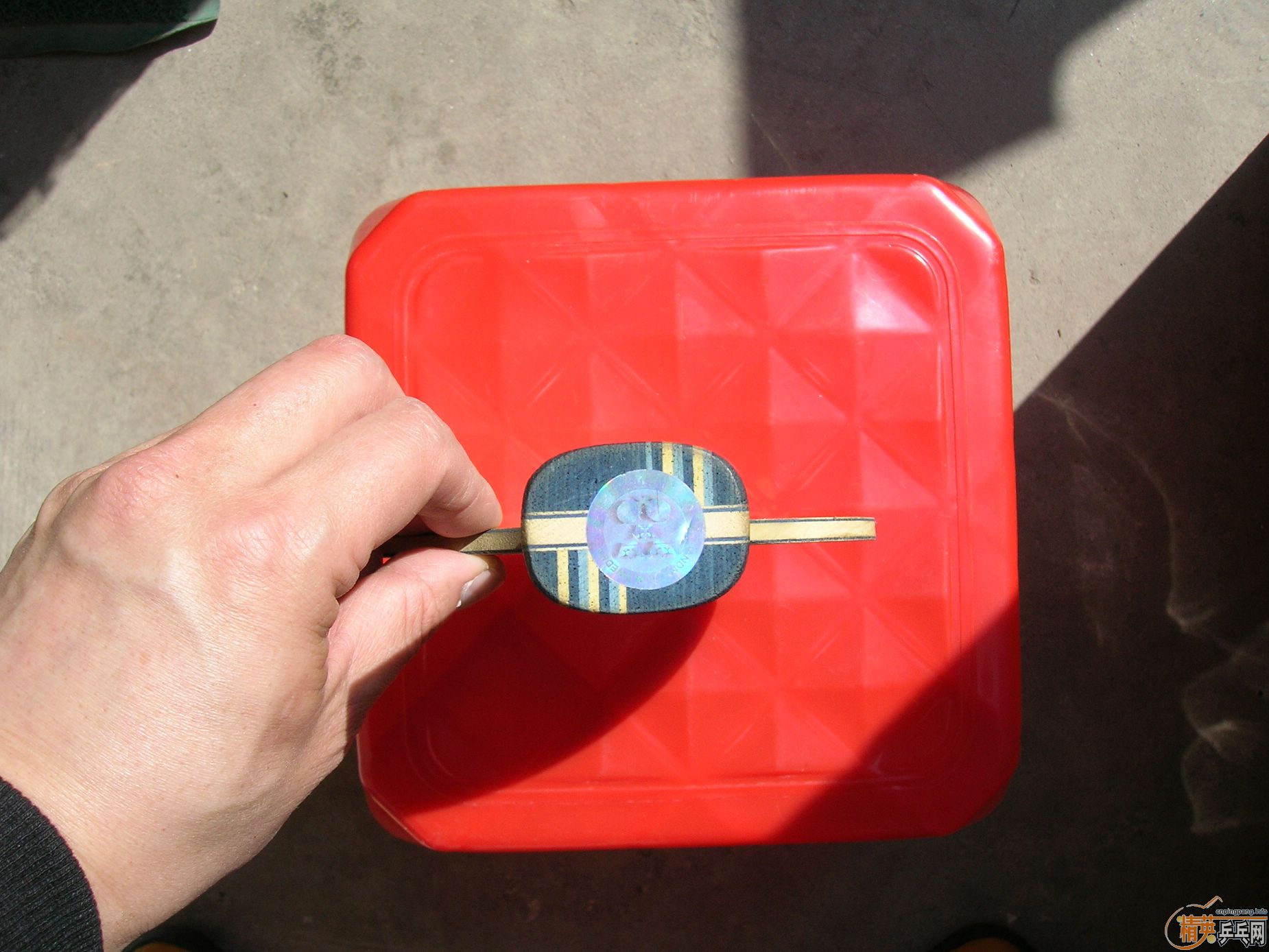 ����EG 235��������