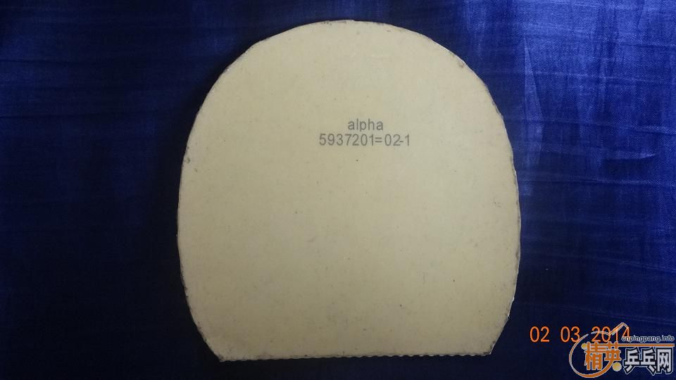 ͦ�� sinus alpha �׽���60Ԫ����~