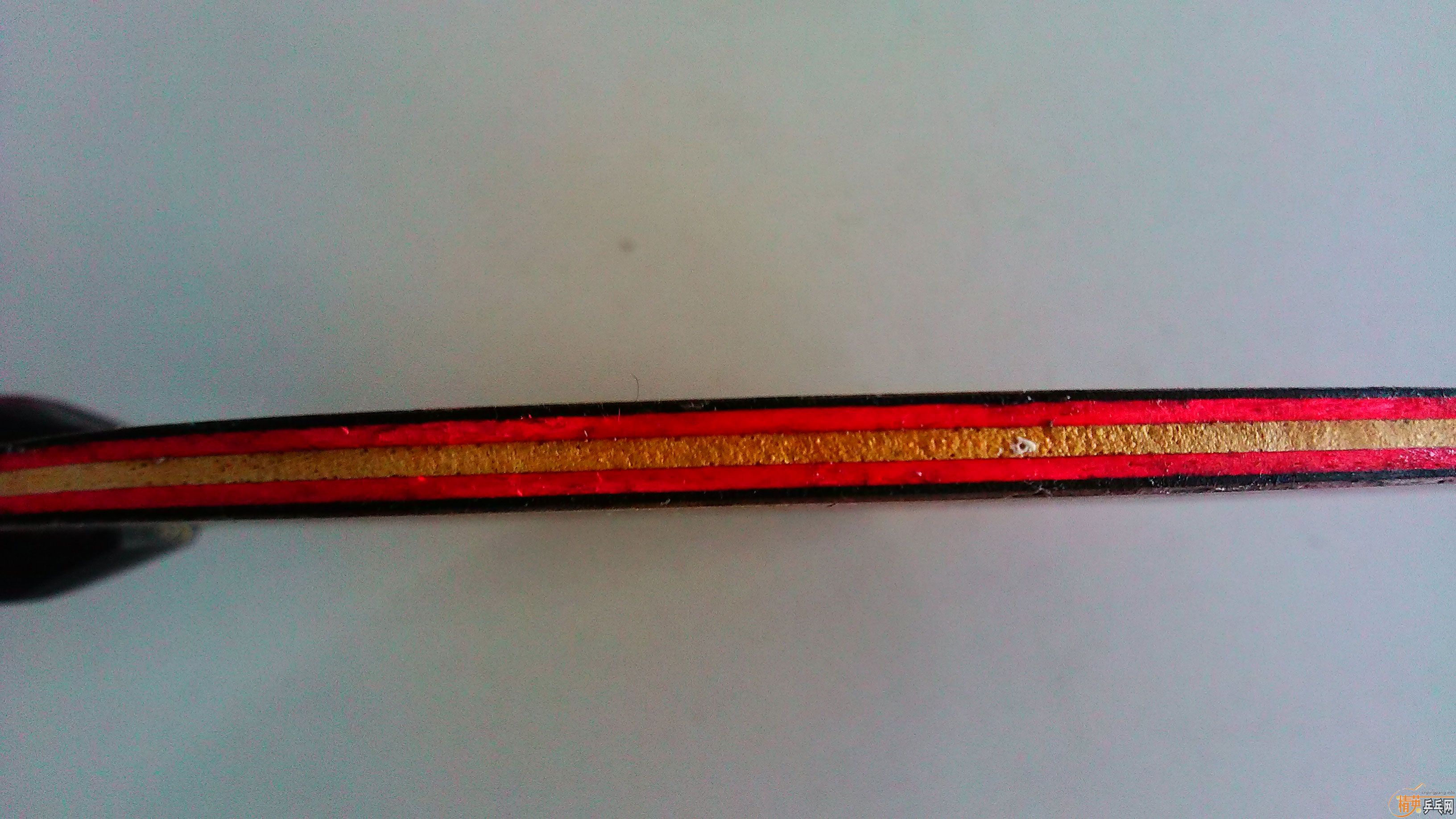 ����ʤ�л�98��M�����̼��