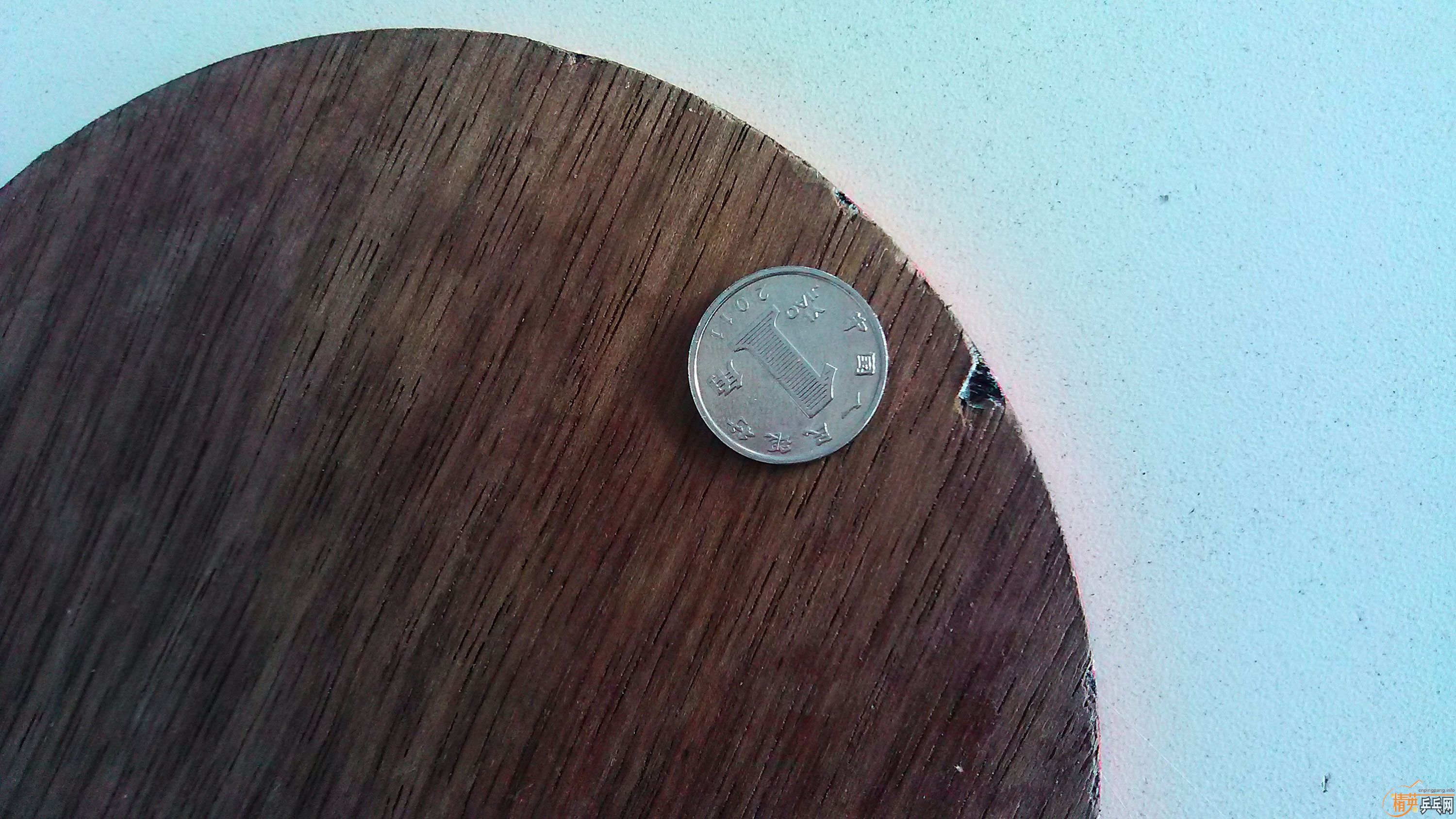 ����ʤ�л�98��M�����̼��