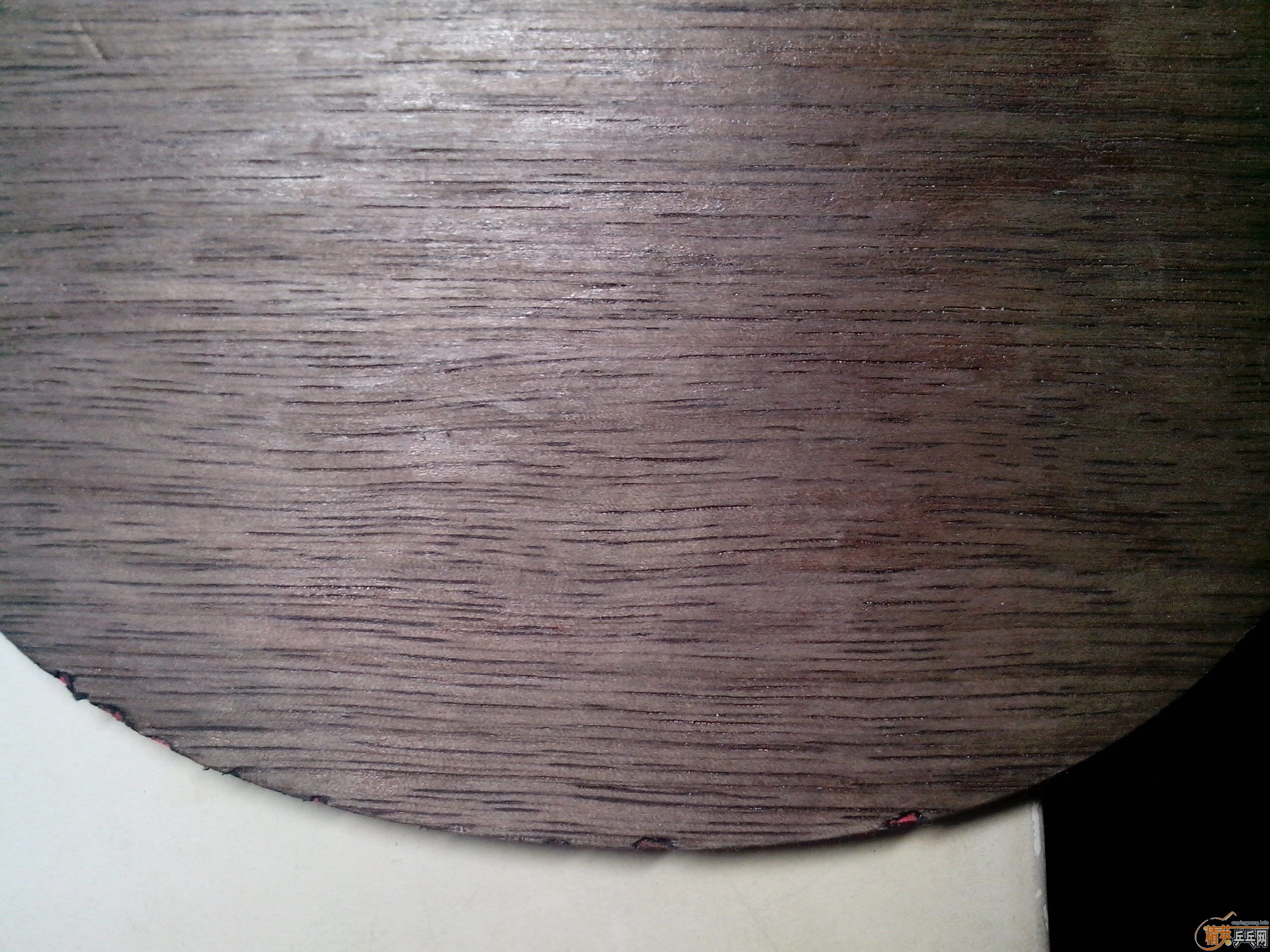 ����ʤ�л�98��M�����̼��